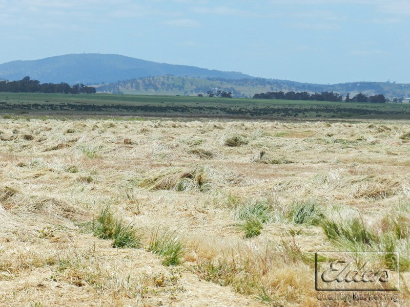 1468 Rodborough Road, Carisbrook VIC 3464