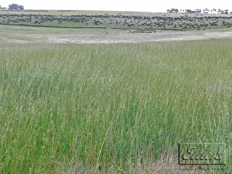 1468 Rodborough Road, Carisbrook VIC 3464