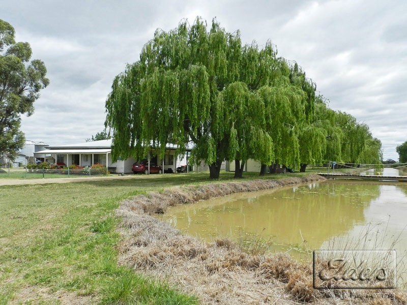 0 Settlement Road, Dingee VIC 3571