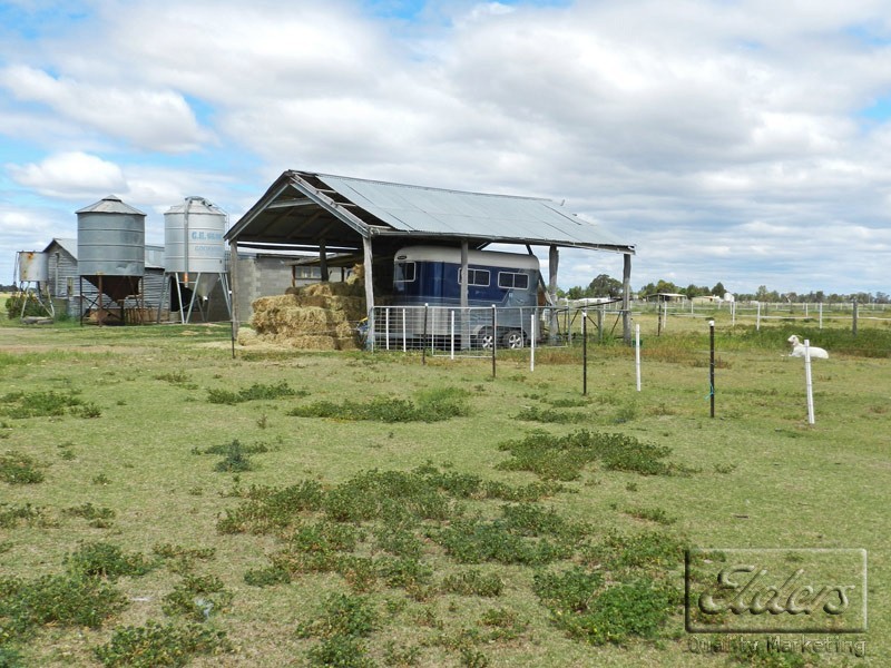 0 Settlement Road, Dingee VIC 3571