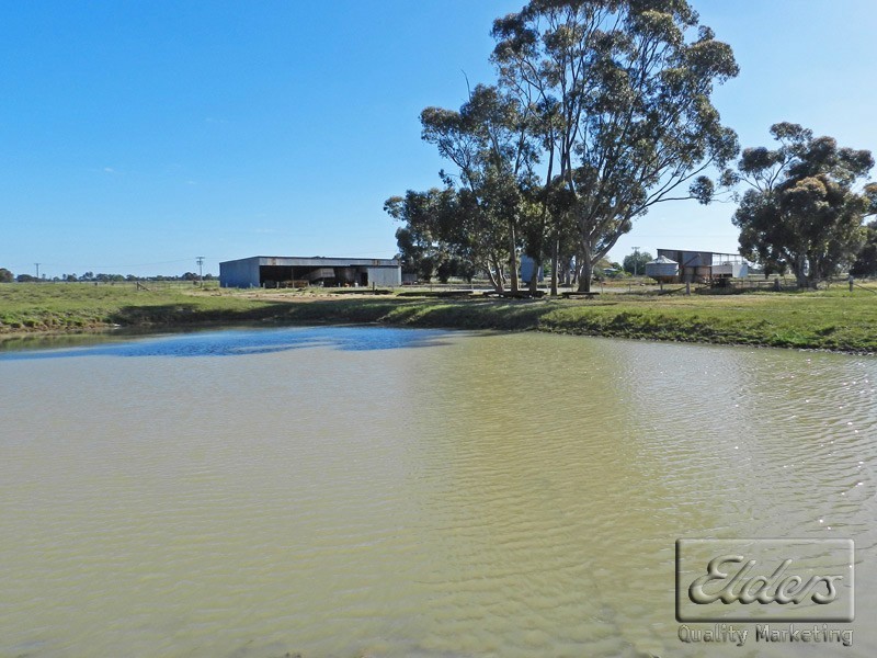 0 Cnr Mitiamo and Lawrys Road, Dingee VIC 3571