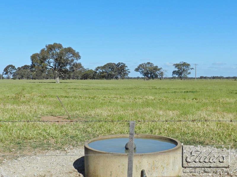 0 Cnr Mitiamo and Lawrys Road, Dingee VIC 3571