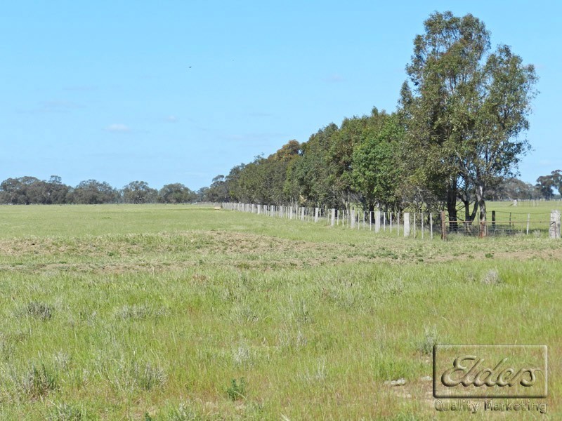 0 Cnr Mitiamo and Lawrys Road, Dingee VIC 3571