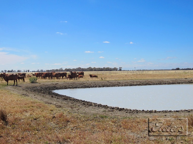Cnr Pyramid-Yarraberb Road and Hockings Road, Dingee VIC 3571