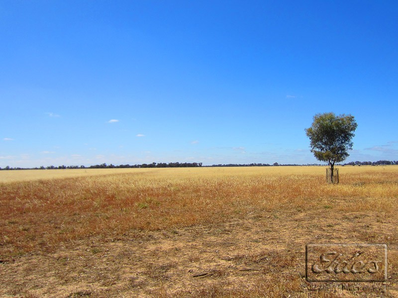 Cnr Pyramid-Yarraberb Road and Hockings Road, Dingee VIC 3571