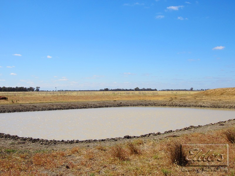Cnr Pyramid-Yarraberb Road and Hockings Road, Dingee VIC 3571