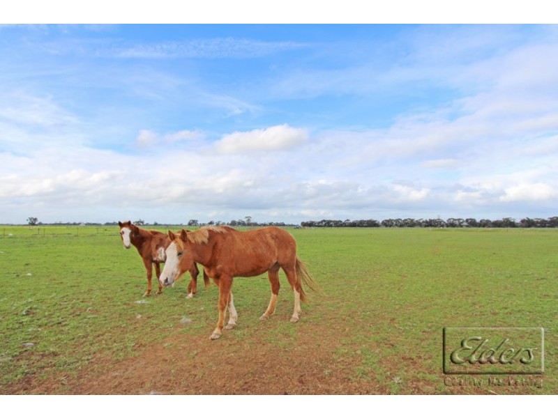 432 Foster Road, Rochester VIC 3561