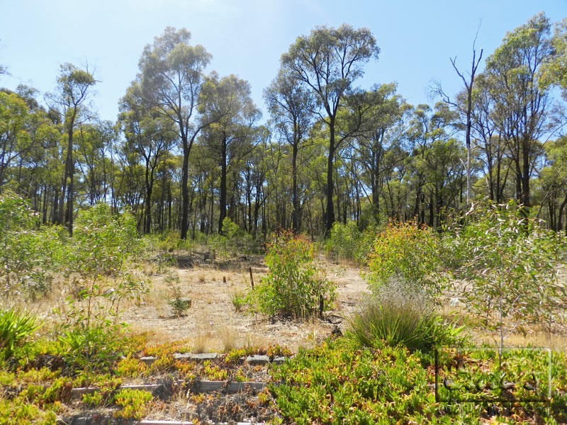 62 Wells Road, Lockwood VIC 3551