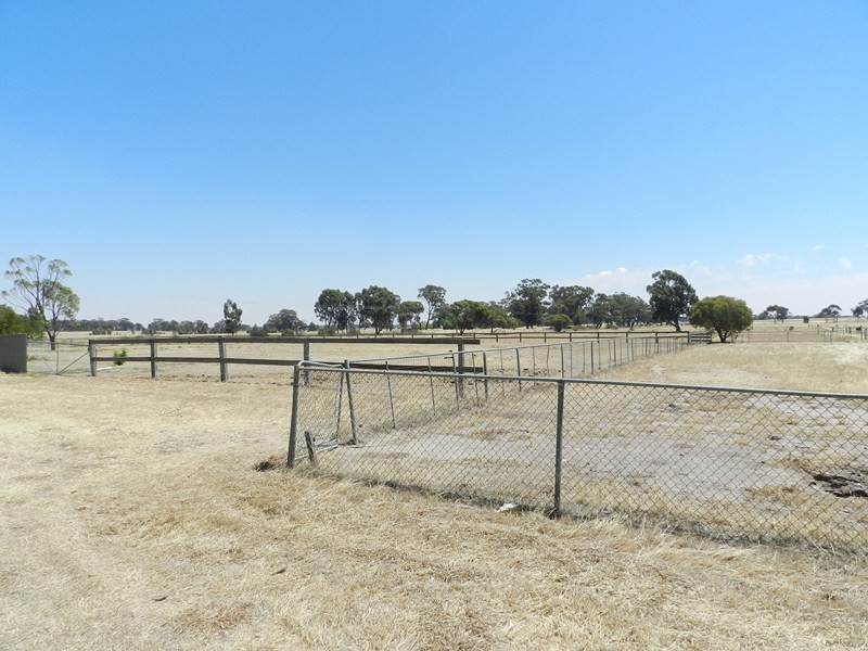 1530 Bendigo Pyramid Road, Sebastian VIC 3556