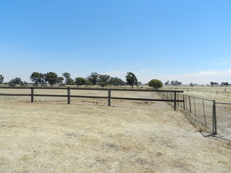 1530 Bendigo Pyramid Road, Sebastian VIC 3556