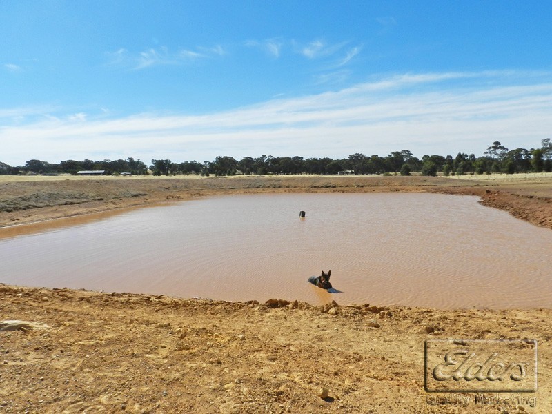 466 McKenzie Road, Marong VIC 3515