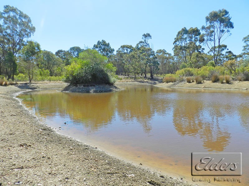 41 Wright Lane, Sedgwick VIC 3551