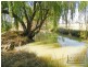 4098 Bendigo-Pyramid Hill Road, Dingee VIC 3571