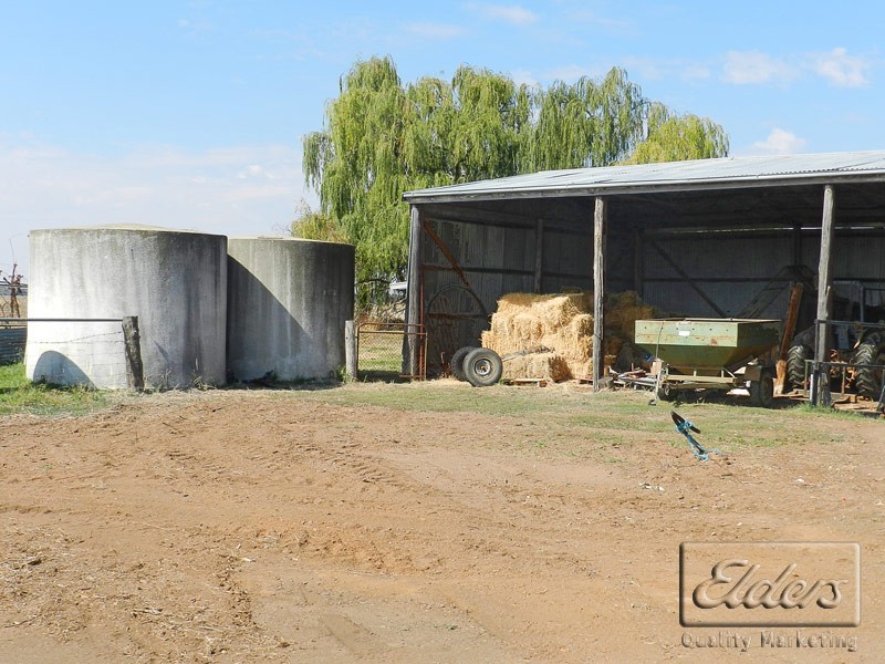 4098 Bendigo-Pyramid Hill Road, Dingee VIC 3571