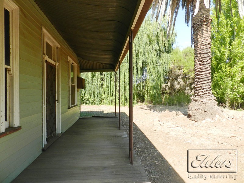 4098 Bendigo-Pyramid Hill Road, Dingee VIC 3571