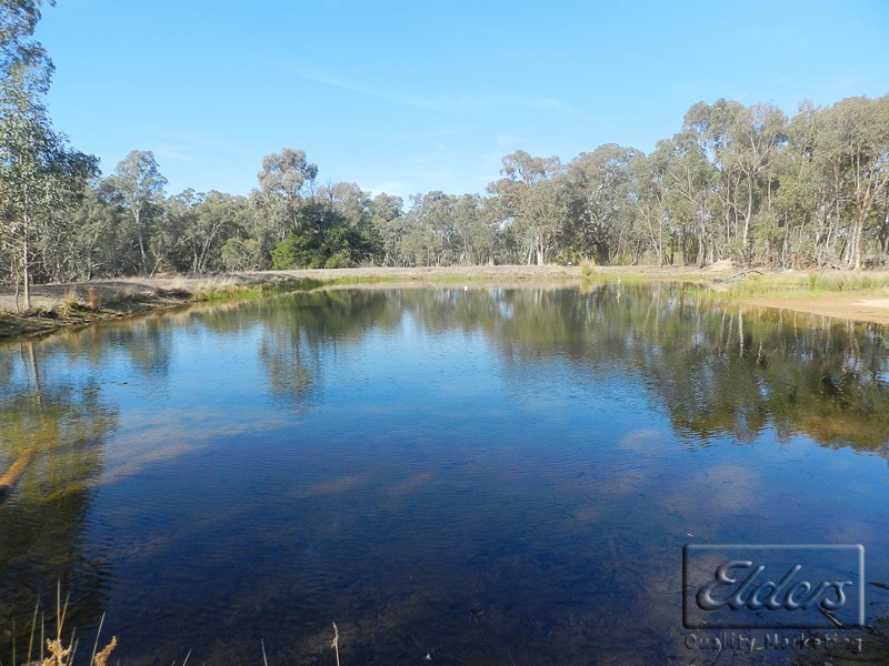 575 Sedgwick Road, Sedgwick VIC 3551