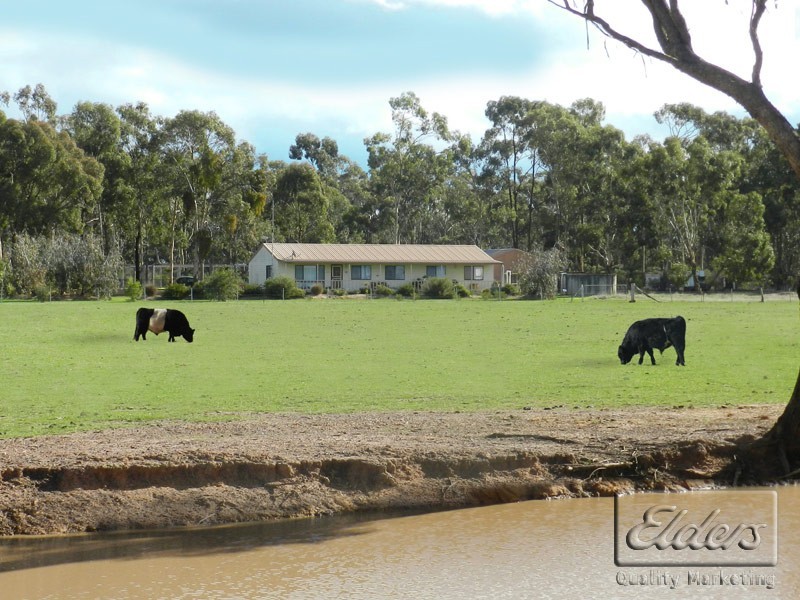 78 Chalkleys Road, Goornong VIC 3557