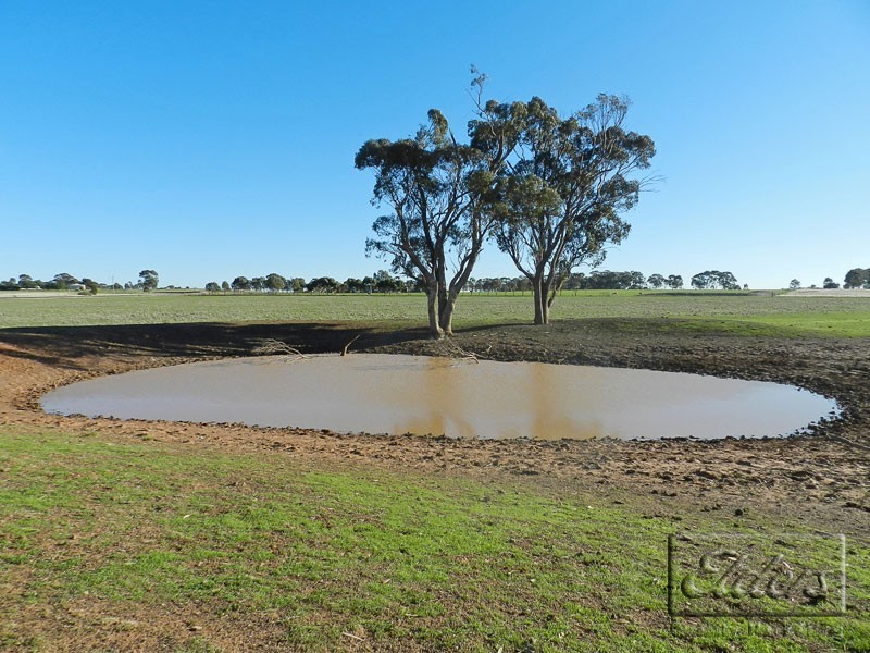 Raywood VIC 3570