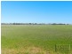 Raywood VIC 3570