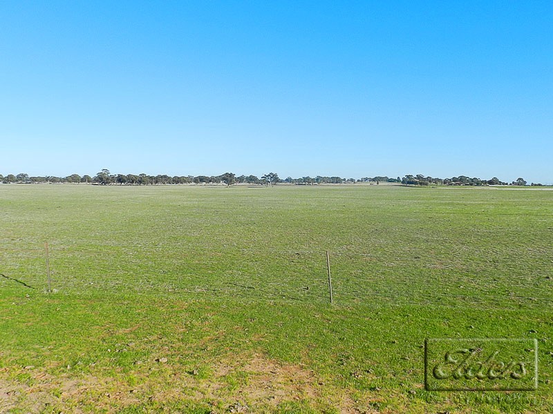 Raywood VIC 3570
