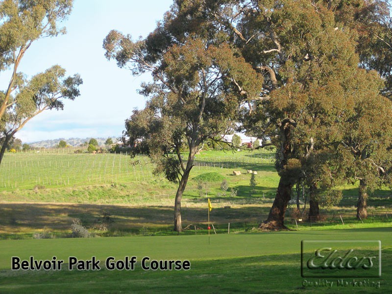 92 Belvoir Park Road, Big Hill VIC 3555