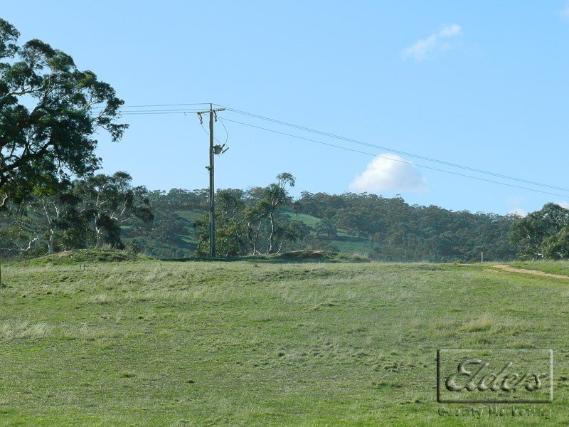 92 Belvoir Park Road, Bendigo VIC 3550