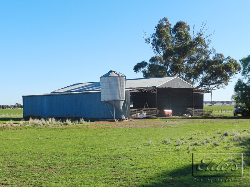 Cnr Bendigo-Pyramid Hill Rd and Bridgewater-Raywood Rd, Raywood VIC 3570