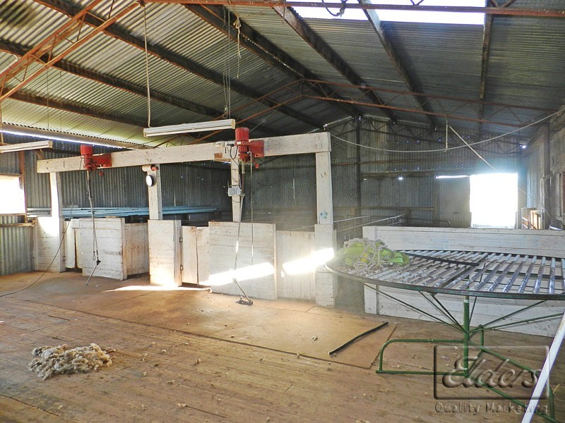 Cnr Bendigo-Pyramid Hill Rd and Bridgewater-Raywood Rd, Raywood VIC 3570