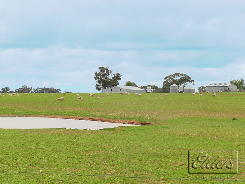 Cnr Bendigo-Pyramid Hill Rd and Bridgewater-Raywood Rd, Raywood VIC 3570