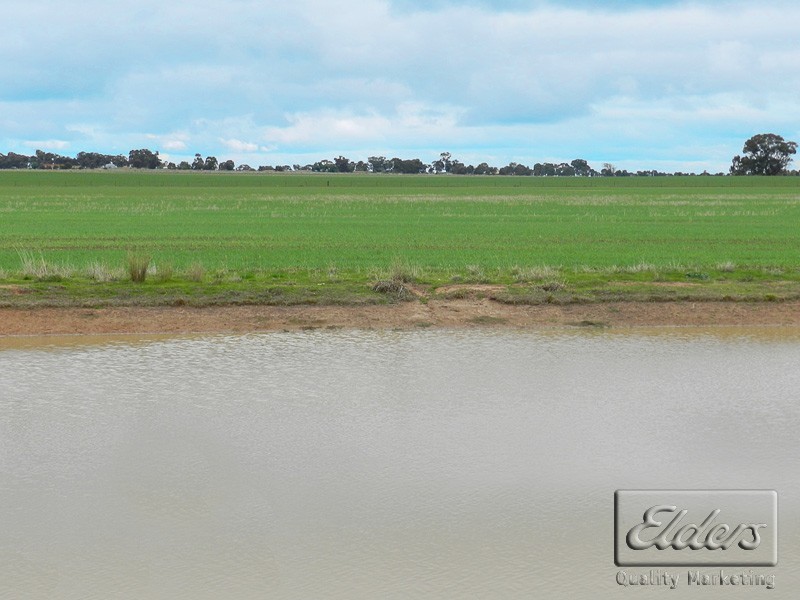 Cnr Bendigo-Pyramid Hill Rd and Bridgewater-Raywood Rd, Raywood VIC 3570