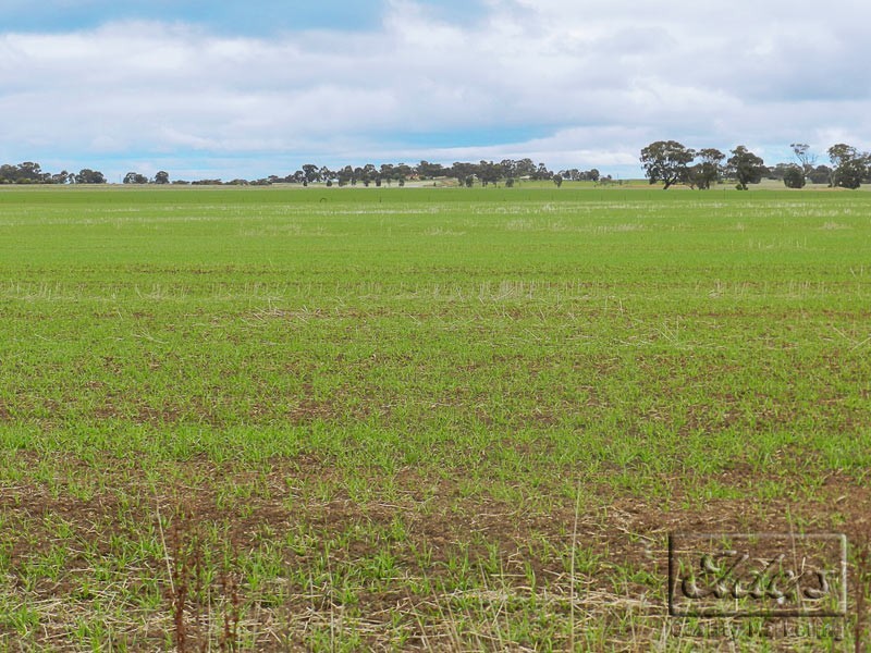 Cnr Bendigo-Pyramid Hill Rd and Bridgewater-Raywood Rd, Raywood VIC 3570