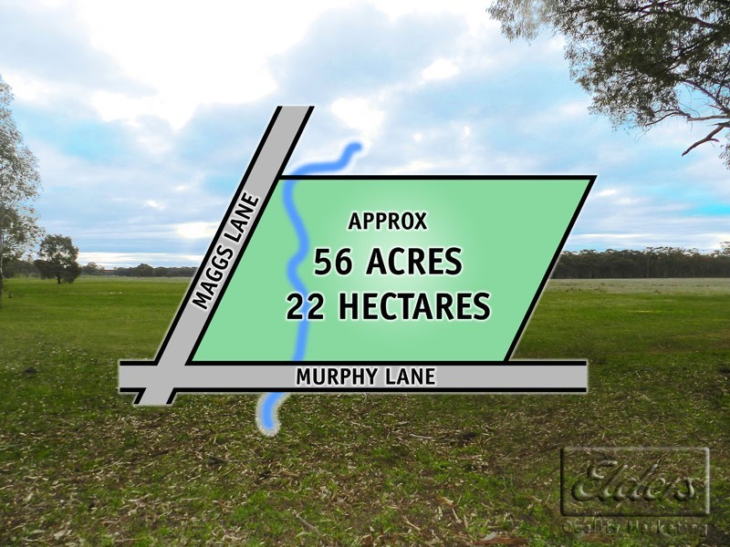 Cnr Maggs Lane and Murphy Lane, Longlea VIC 3551
