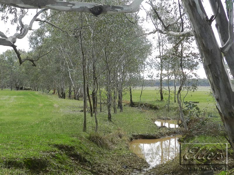 Cnr Maggs Lane and Murphy Lane, Longlea VIC 3551