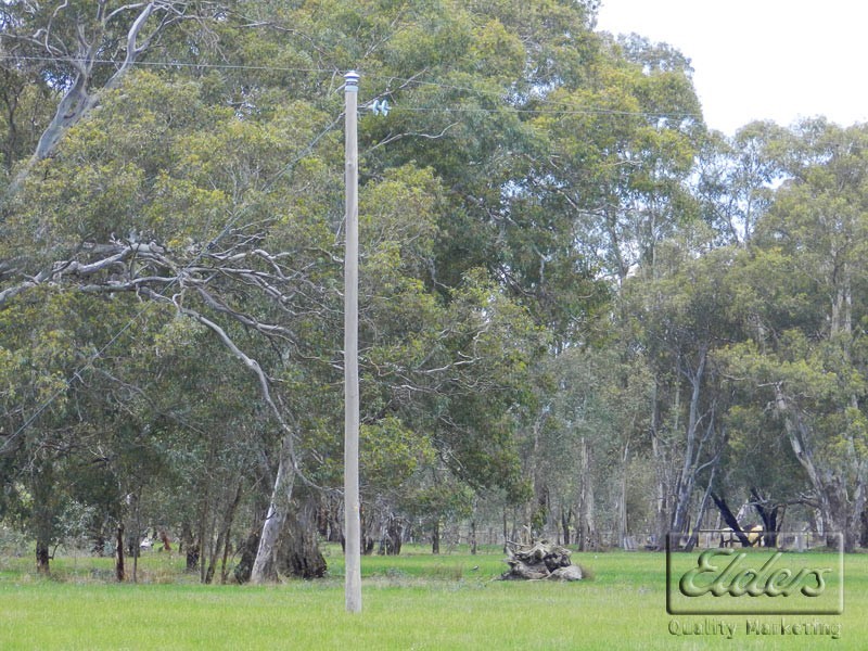 Cnr Maggs Lane and Murphy Lane, Longlea VIC 3551