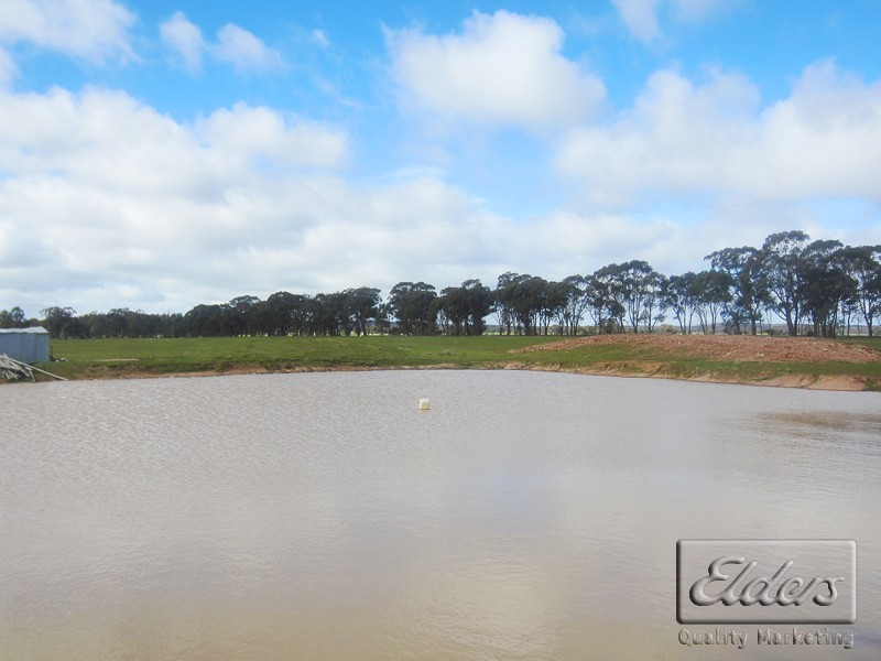 3558 Wimmera Highway, Tarnagulla VIC 3551