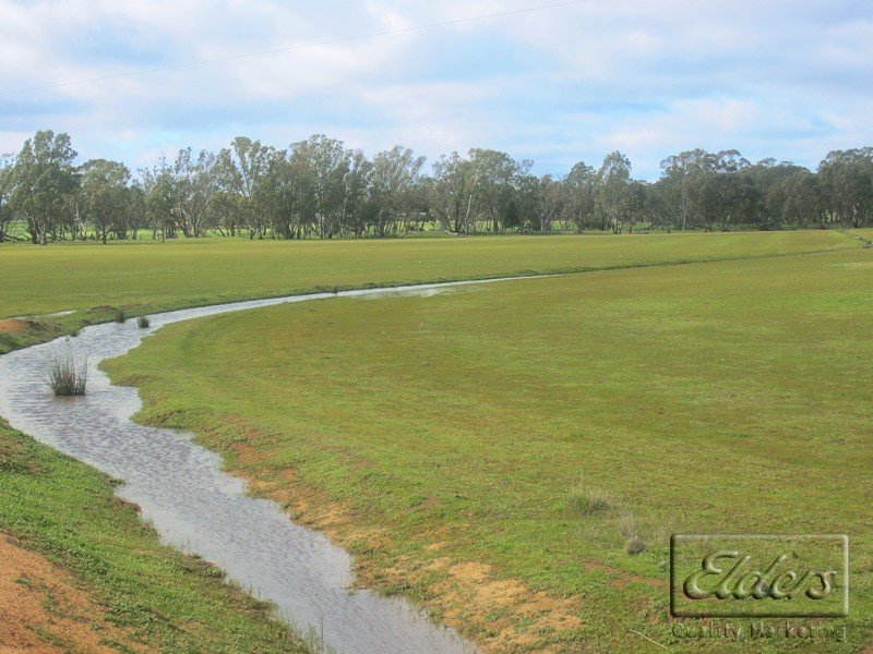 3558 Wimmera Highway, Tarnagulla VIC 3551