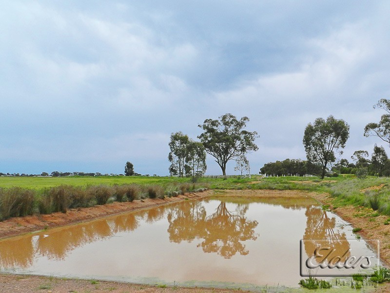 386 Bassett Road, Neilborough VIC 3570