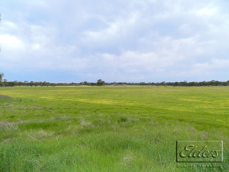 386 Bassett Road, Neilborough VIC 3570