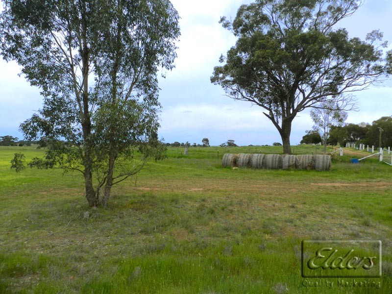 386 Bassett Road, Neilborough VIC 3570