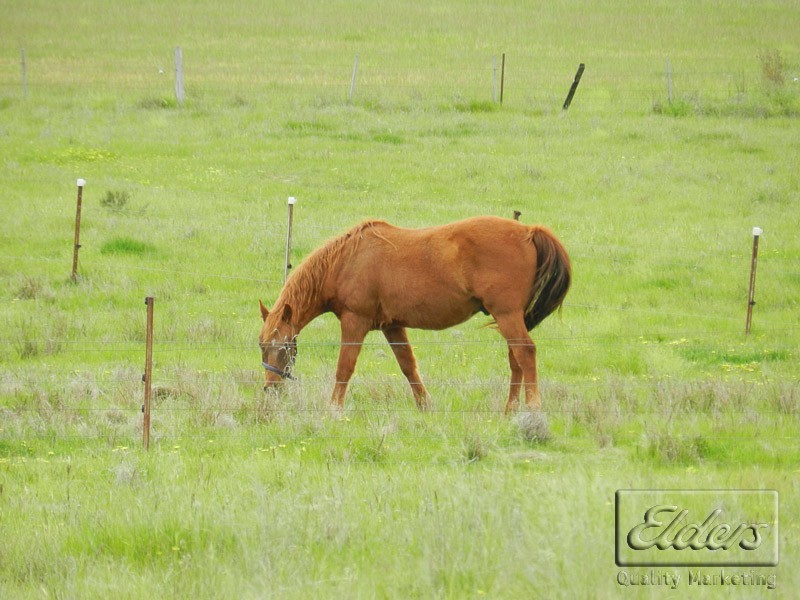 386 Bassett Road, Neilborough VIC 3570