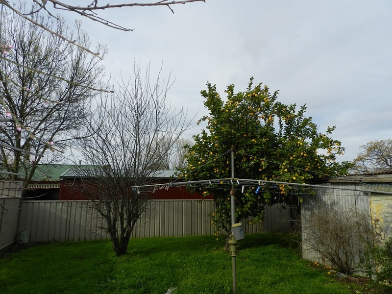 74 Thistle Street, Bendigo VIC 3550