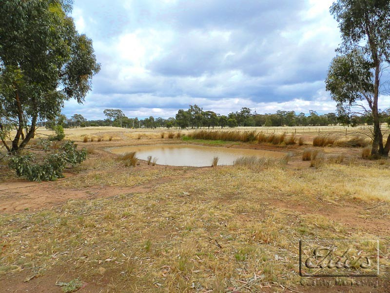 57 Faraday Street, Neilborough VIC 3570