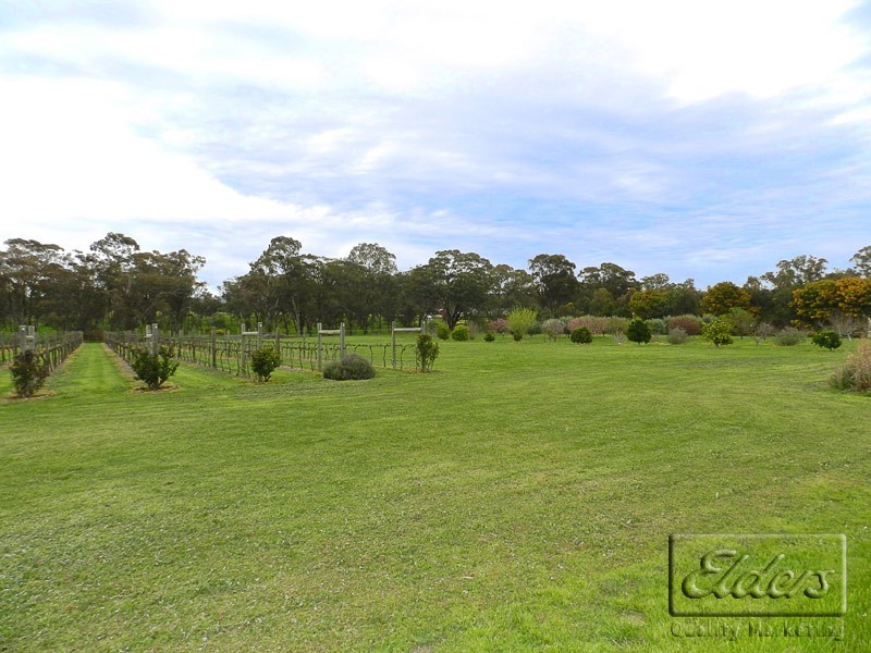 207 McGlashans Road, Maldon VIC 3463