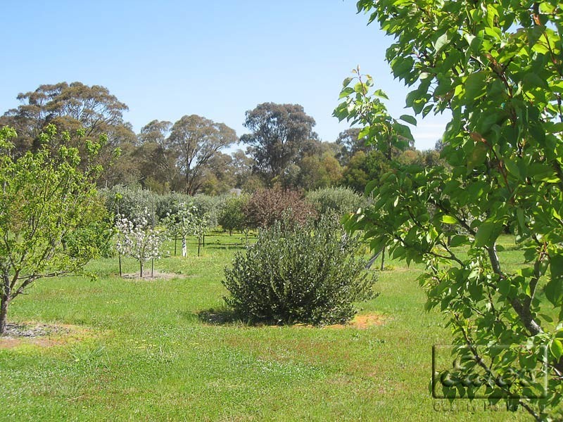 207 McGlashans Road, Maldon VIC 3463