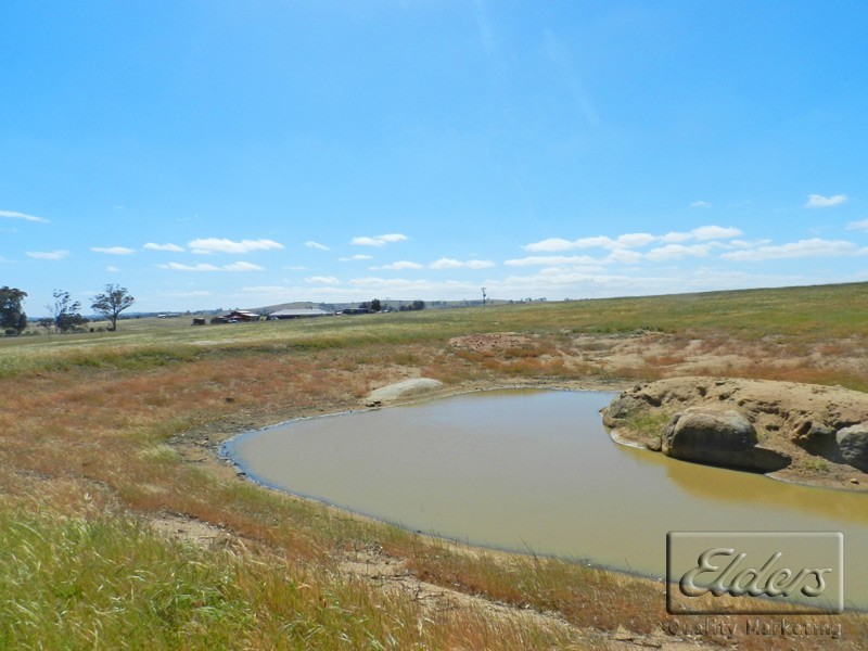 301 Mulberry Lane, Lockwood South VIC 3551