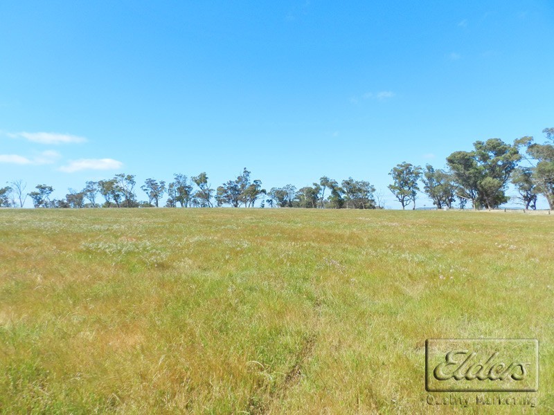 301 Mulberry Lane, Lockwood South VIC 3551