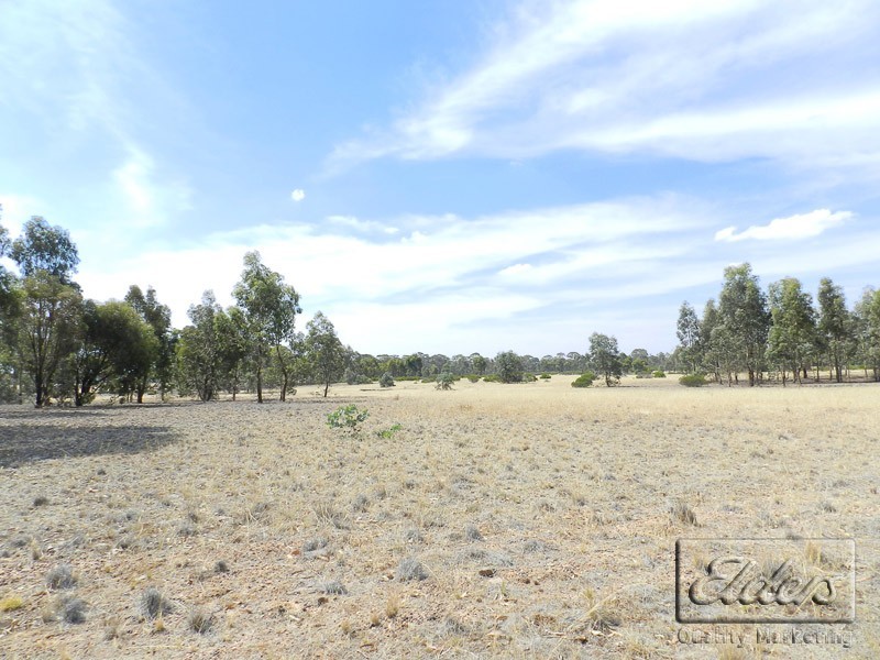 81 Stanleys Road, Bagshot VIC 3551