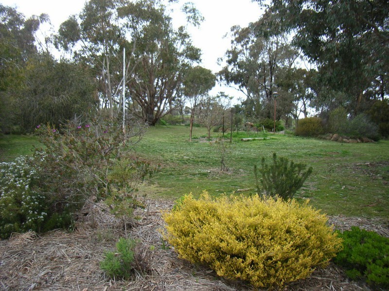 34 Belvoir Park Road, Big Hill VIC 3555