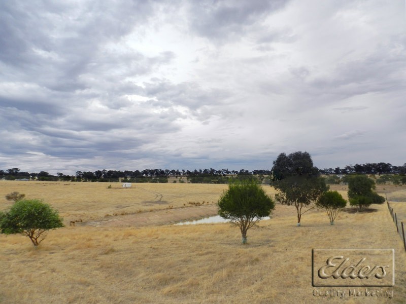 254 Mulberry Lane, Lockwood South VIC 3551