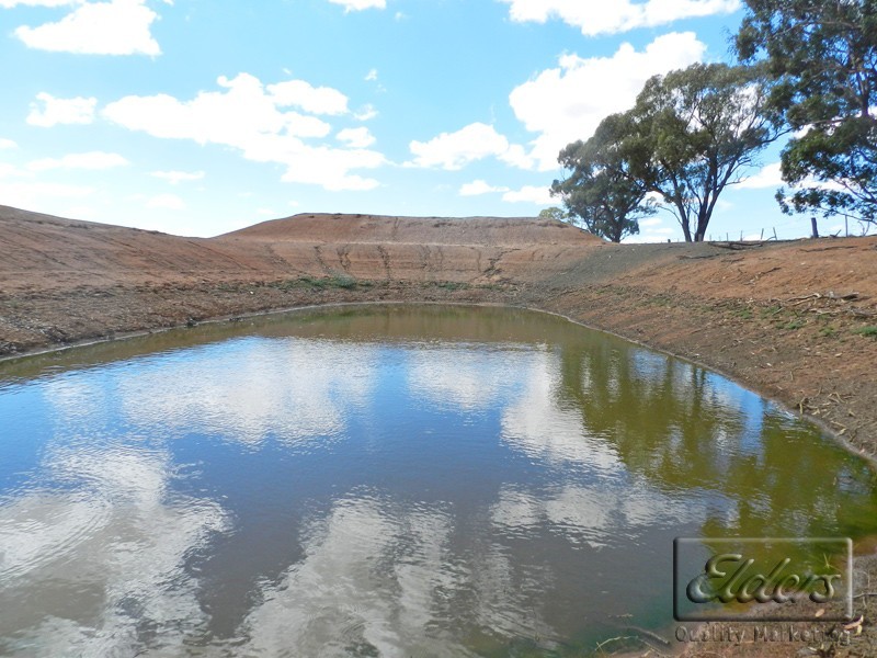 Cnr Elmore – Raywood Road and Bacons Road, Kamarooka VIC 3570